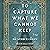 To Capture What We Cannot Keep: A Novel