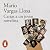 Cartas a un joven novelista [Letters to a Young Novelist]