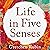 Life in Five Senses: How Exploring the Senses Got Me Out of My Head and Into the World