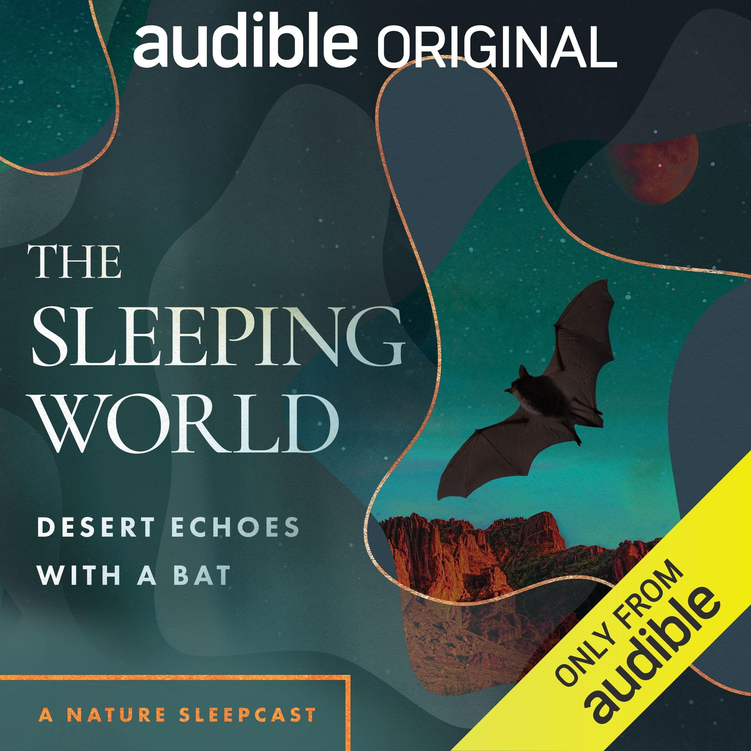 The Sleeping World: Desert Echoes with a Bat (Audible Audio)