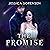 The Promise: Fallen Star Se...