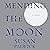 Mending the Moon