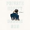 Private Equity: A...