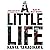 A Little Life