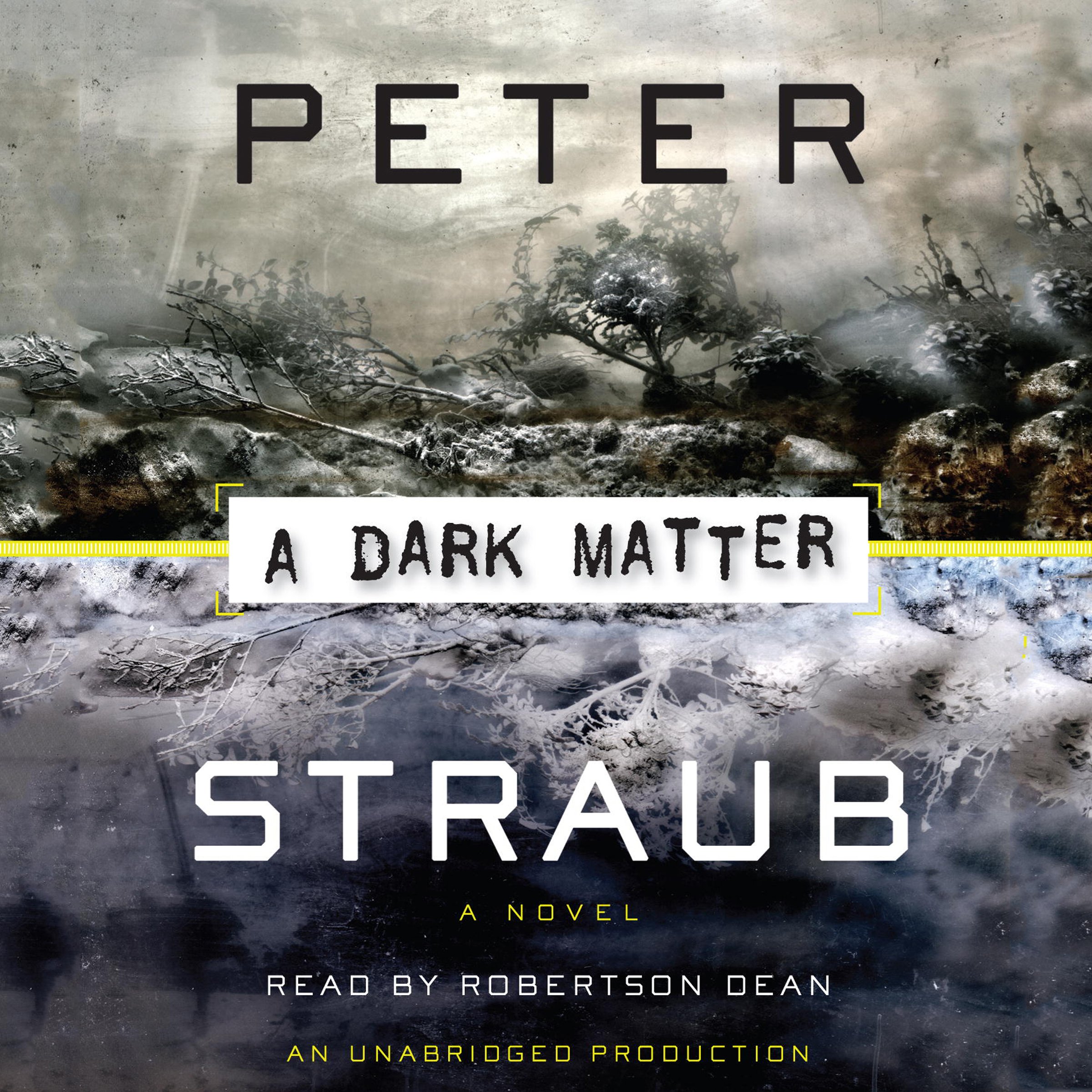 A Dark Matter