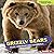 Grizzly Bears: Huge Hibernating Mammals