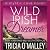Wild Irish Dreamer: The Mystic Cove Series, Book 8