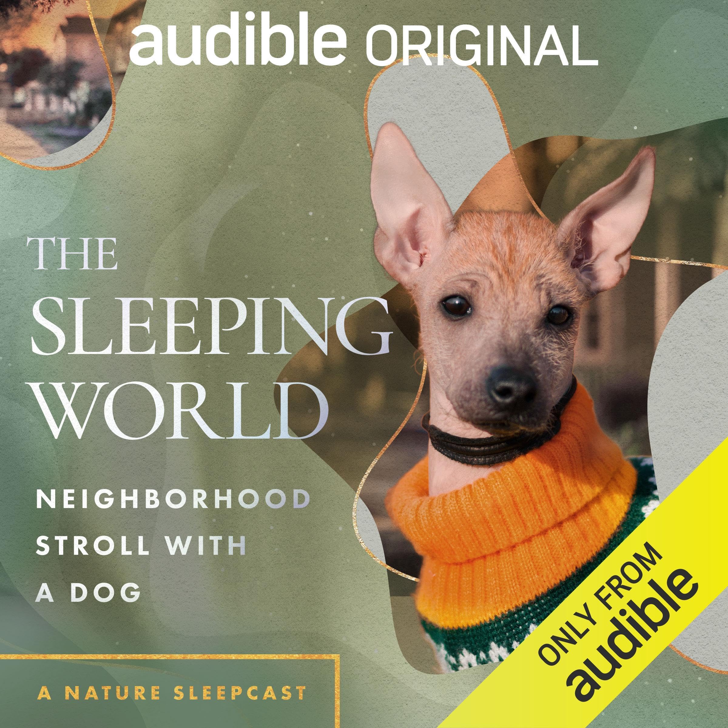 The Sleeping World: Neighborhood Stroll with a Dog (Audible Audio)
