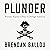 Plunder: Private Equity's Plan to Pillage America