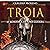 Troia: O romance de uma guerra