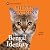 The Bengal Identity