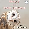 What an Owl Knows...