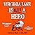 Virginia Lane is Not a Hero