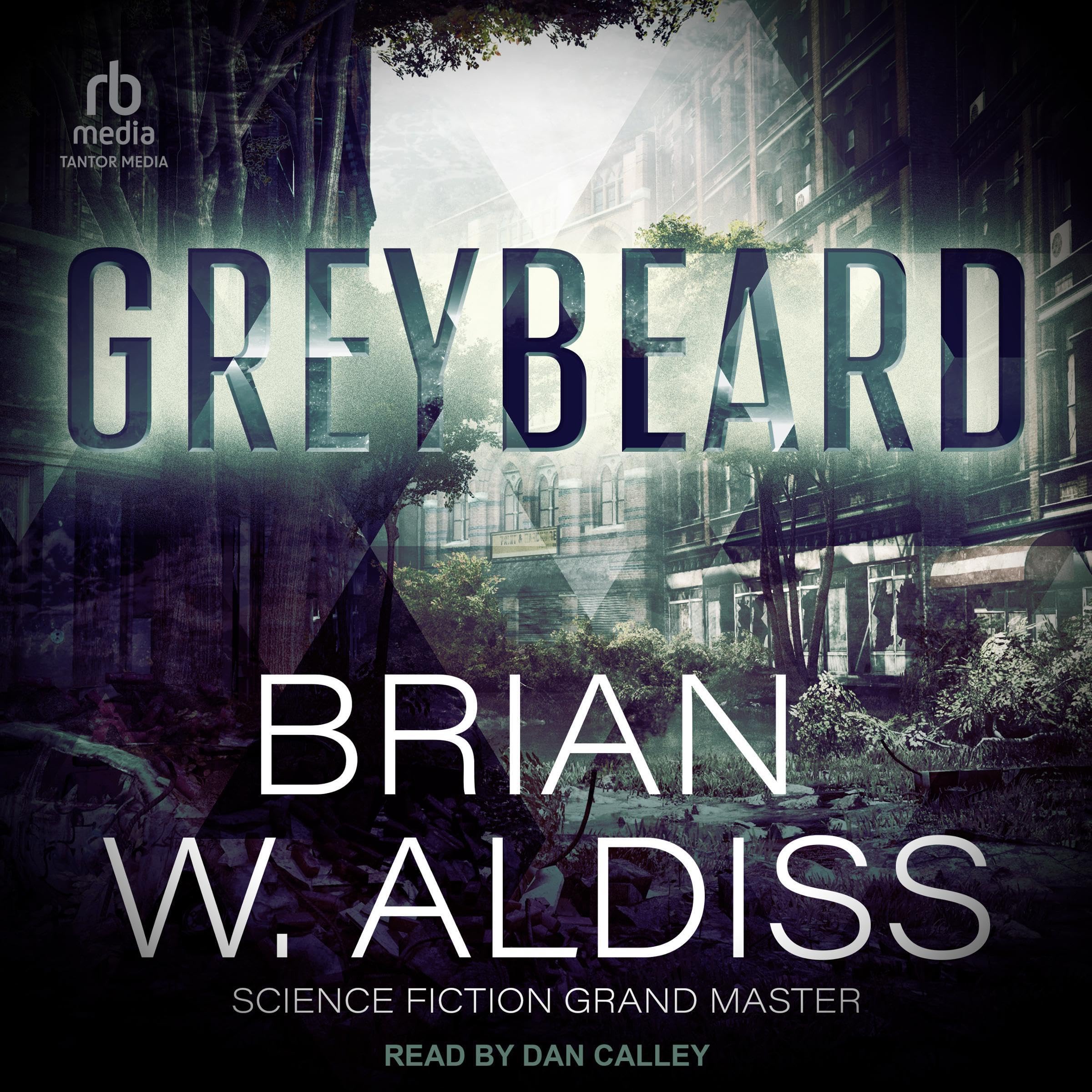 Greybeard