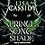 A Prince of Song and Shade: A Tale of Stars and Shadow, Book 2