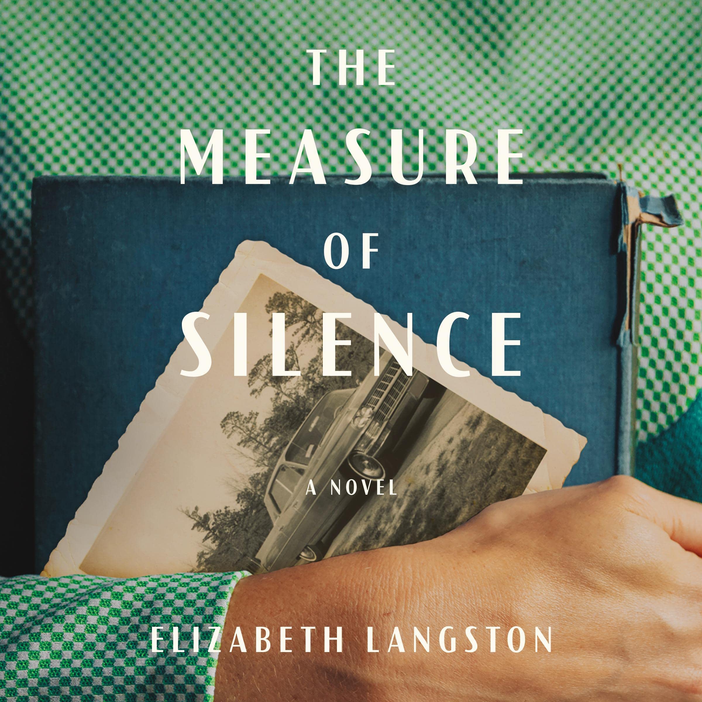 The Measure of Silence: A Novel (Audible Audio)