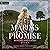 Marin's Promise (Borderland Ladies #1)