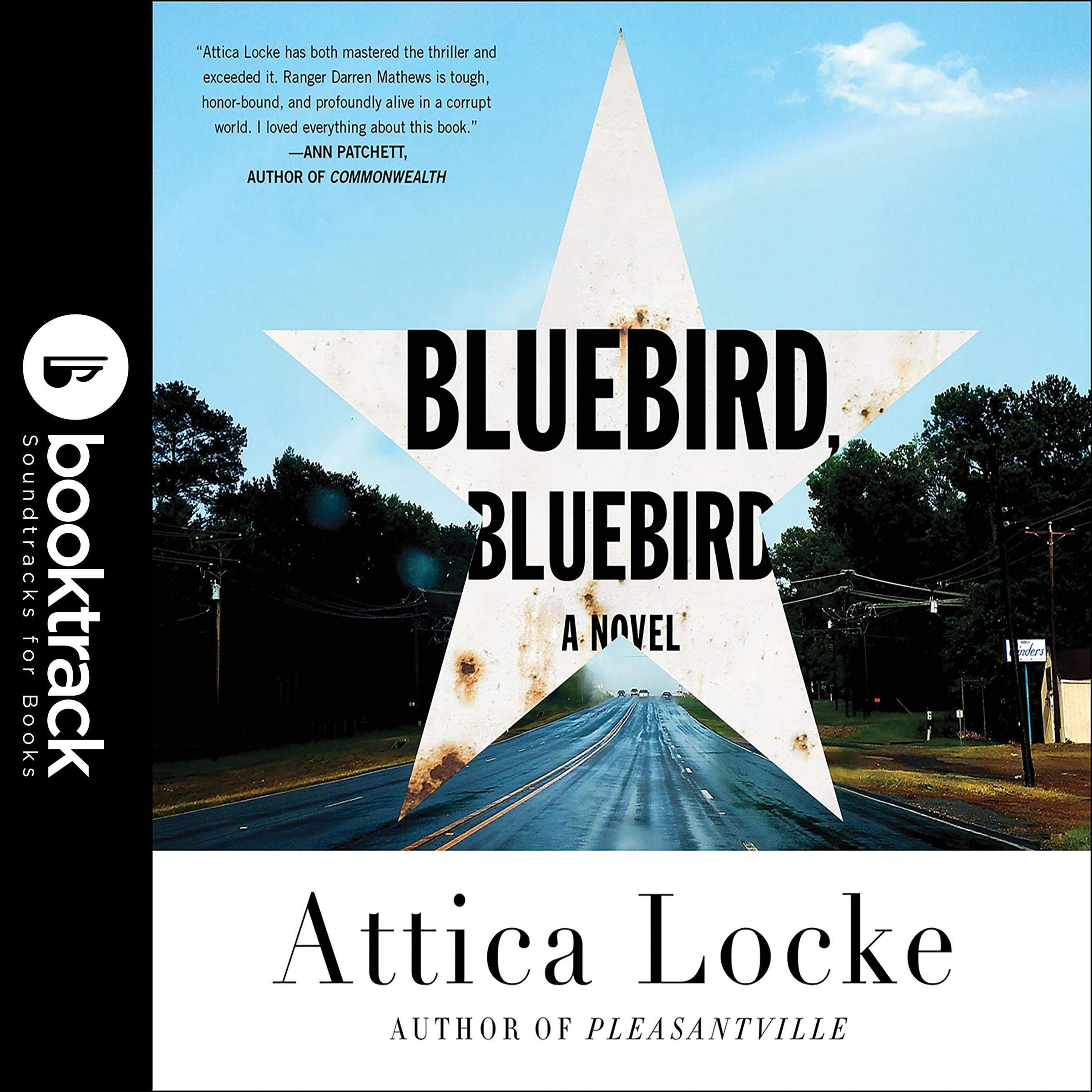 Bluebird, Bluebird
