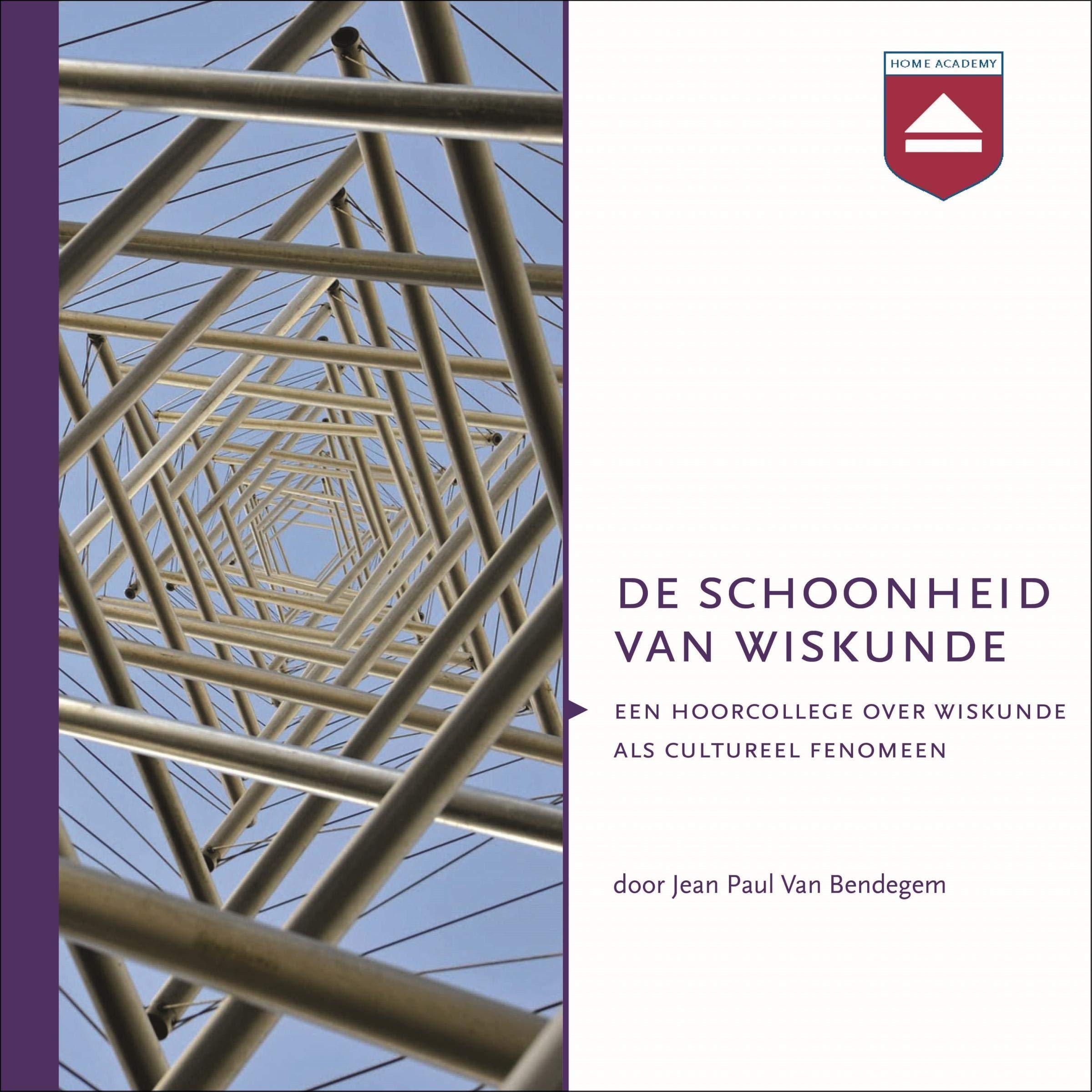 De schoonheid van wiskunde (Audiobook)