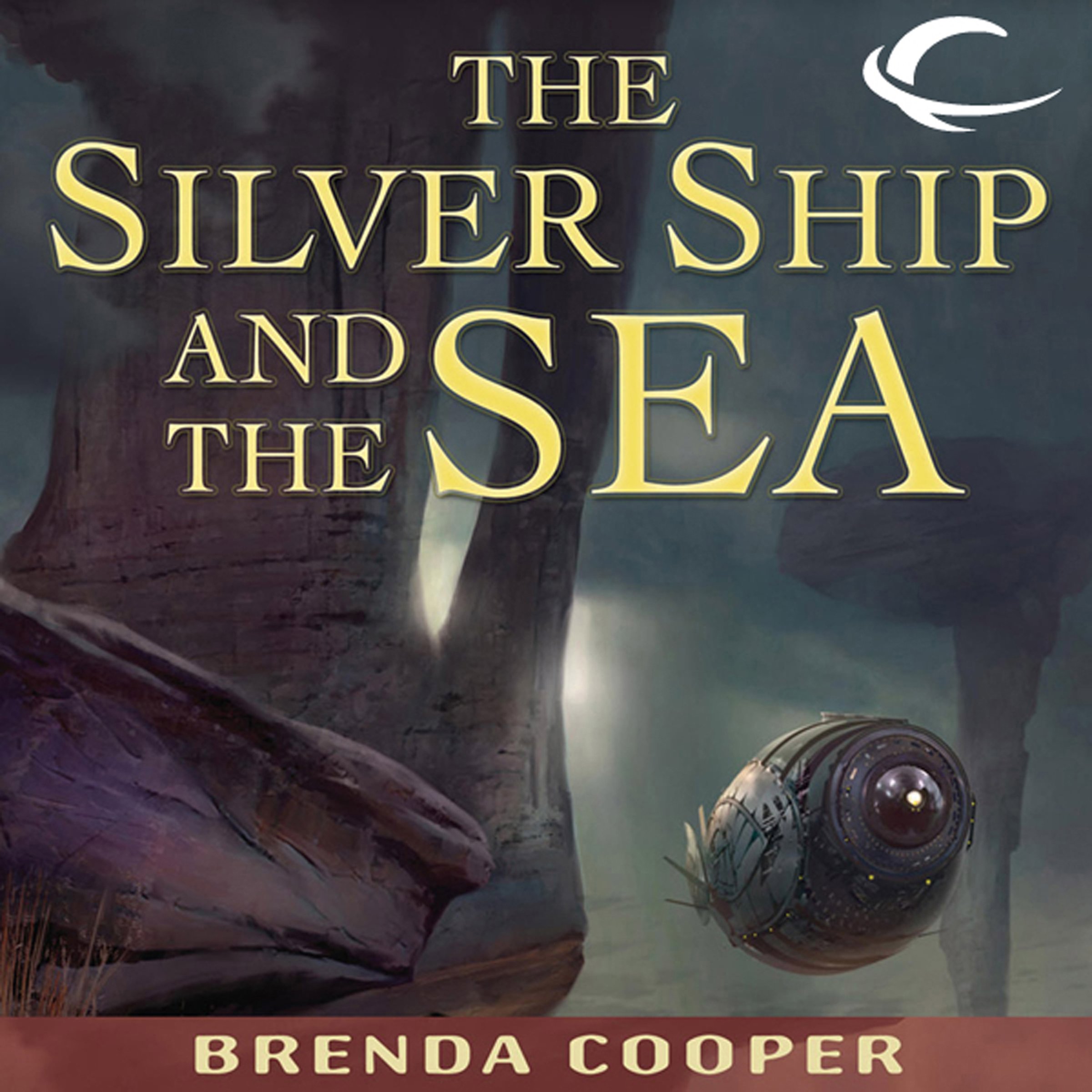 The Silver Ship and the Sea: Silver Ship, Book 1