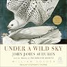 Under a Wild Sky:...