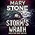 Storm's Wrath: Amelia Storm FBI Mystery Series, Book 5