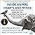 Inside Animal Hearts and Minds: Bears That Count, Goats That Surf, and Other True Stories of Animal Intelligence and Emotion