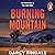 Burning Mountain by Darcy Tindale