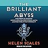 The Brilliant Aby...