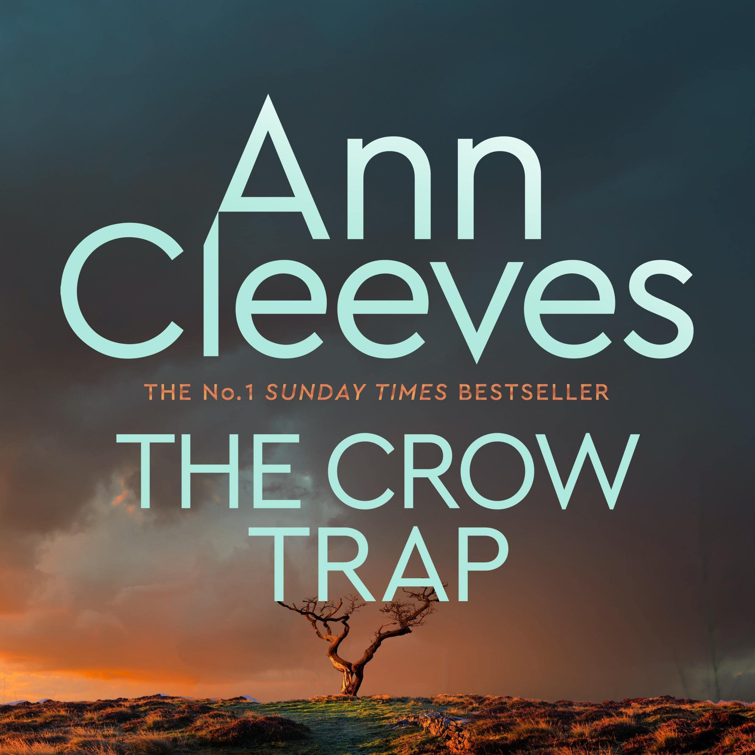 The Crow Trap: Vera Stanhope, Book 1