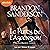 Le Puits de l'ascension by Brandon Sanderson