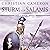 Sturm vor Salamis (Der lange Krieg #5)