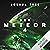 Der Meteor: Der Meteor 4