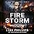 Firestorm (Chasing Fire: Montana #4)