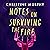 Notes on Surviving the Fire: A razor-sharp, darkly funny literary novel about male violence, a woman's vengeance, and whether killing can ever be justified
