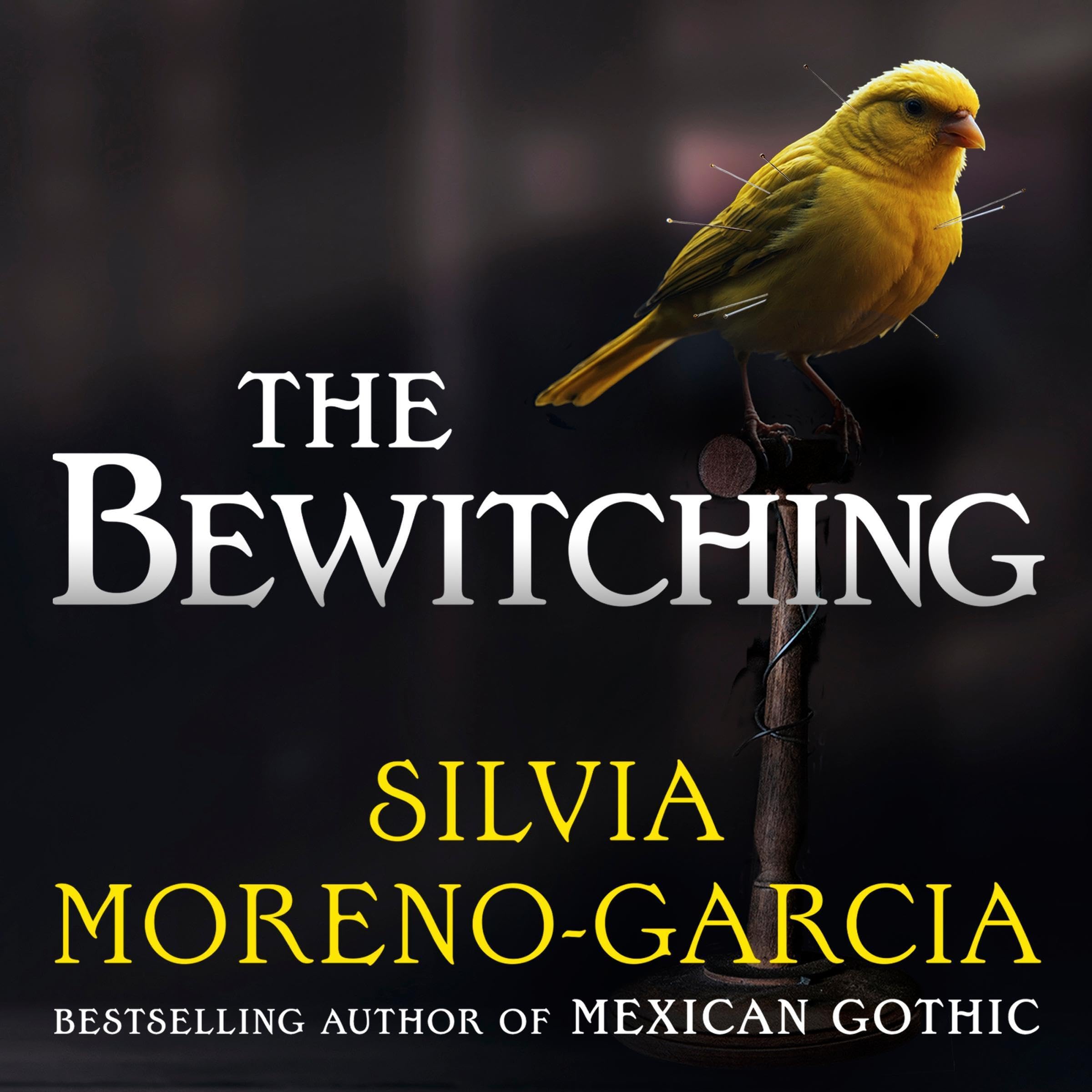 The Bewitching: