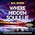 Where Hidden Souls Lie: Detectives Kane and Alton, Book 20