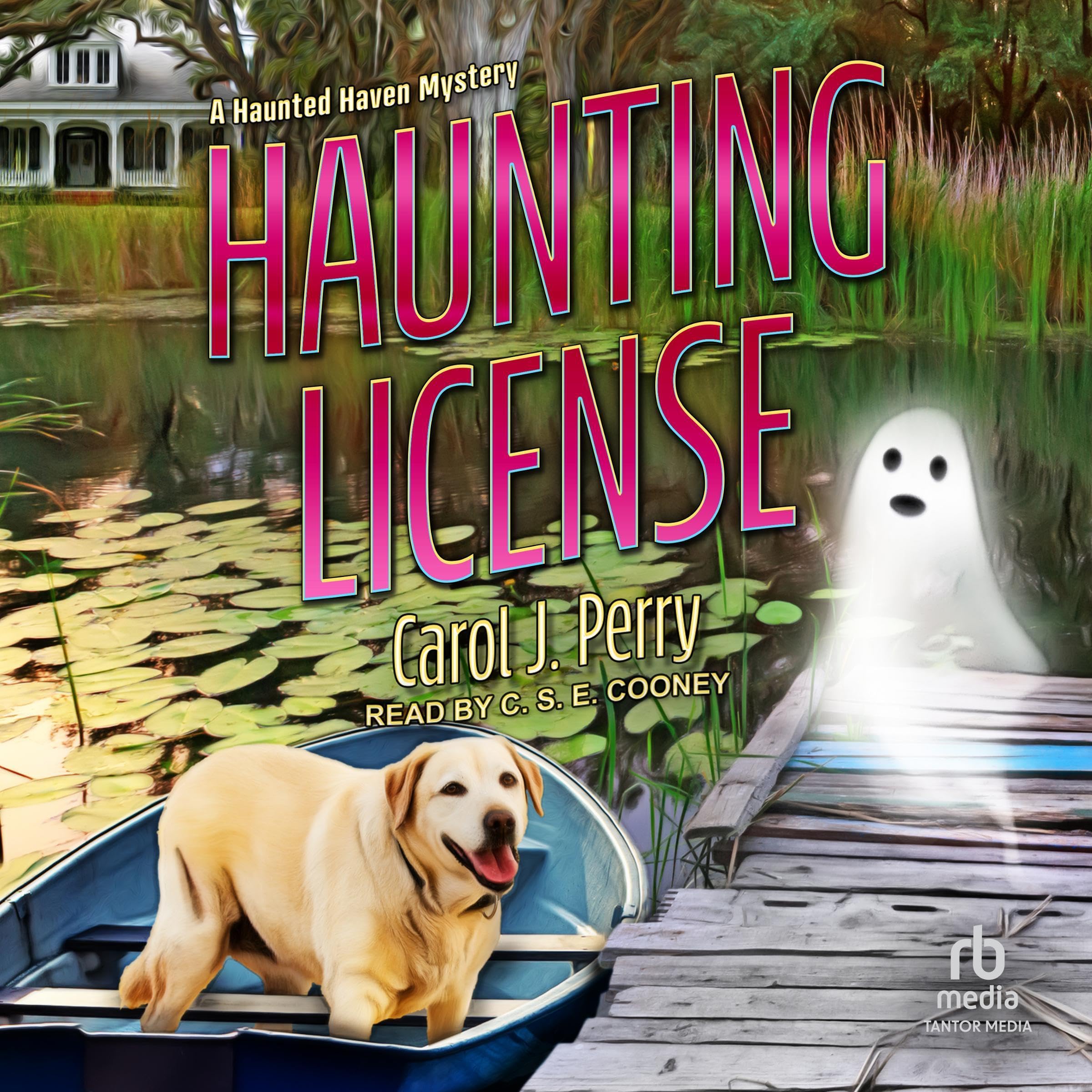 Haunting License: Haunted Haven Mystery, Book 3 (Audible Audio)