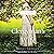 The Clergyman's Wife: A Pride & Prejudice Novel
