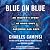 Blue on Blue: An Insider's Story of Good Cops Catching Bad Cops