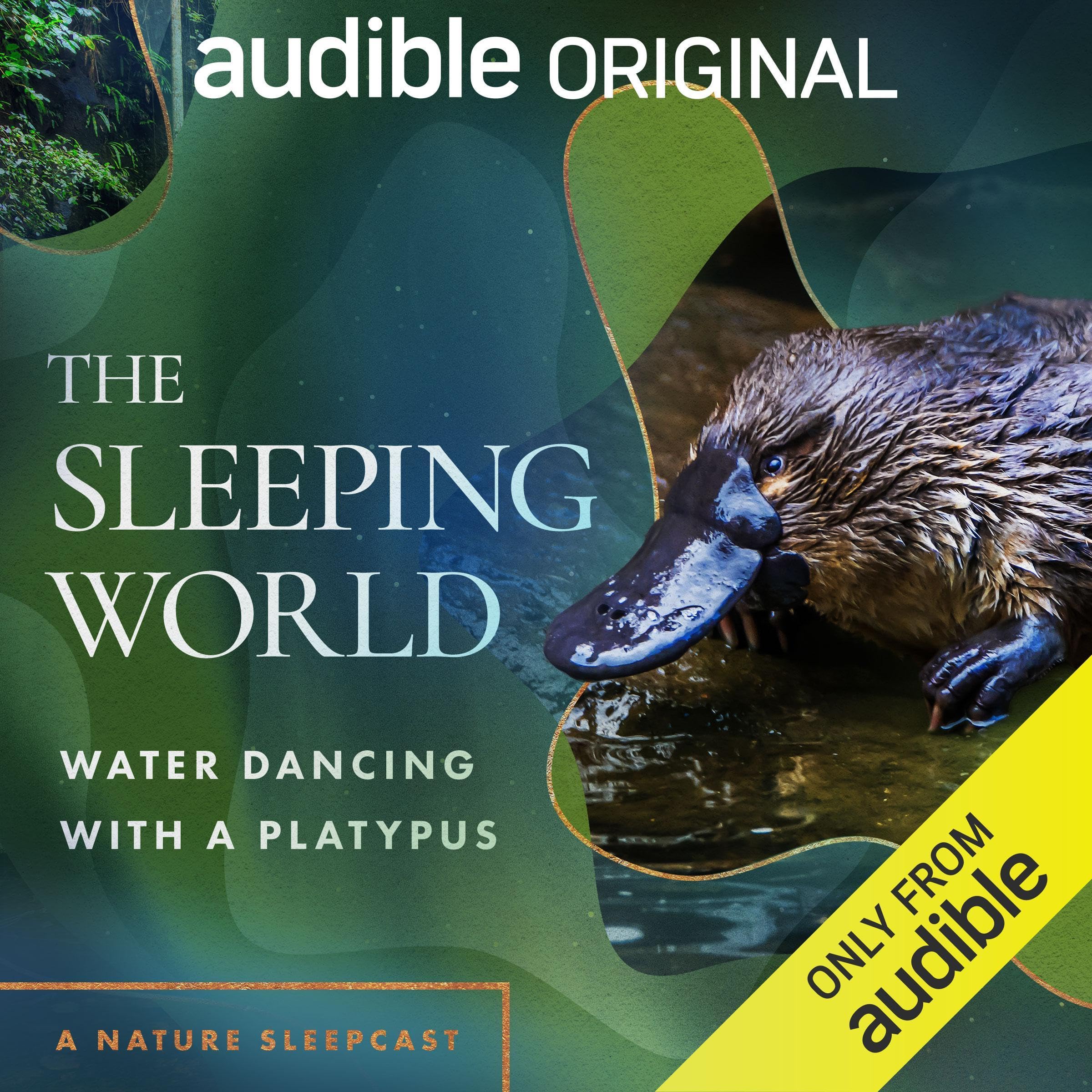 The Sleeping World: Water Dancing with a Platypus (Audible Audio)