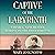 Captive of the Labyrinth: S...
