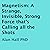 Magnetism: A Strange, Invisible, Strong Force That's Calling All the Shots