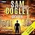 Skyfire: Adam Knight Thrillers, Book 2