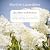 Alice, Aline et Rosalie [Alice, Aline and Rosalie]: Les collines de Bellechasse T3. [The Hills of Bellechasse, Book 3]