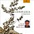 Confucius: Entretiens