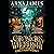 The Age of Enchantment (Chronicles of Whetherwhy #1)