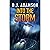 INTO THE STORM: Intriguing ...