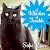 A Whisker of Trouble (Second Chance Cat Mystery #3)