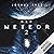 Der Meteor: Der Meteor 2